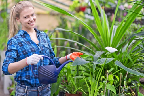 Testing tools and checklist for web accessibility of garden maintenance pages