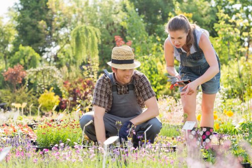 Person using a screen reader while viewing lawn mowing service details