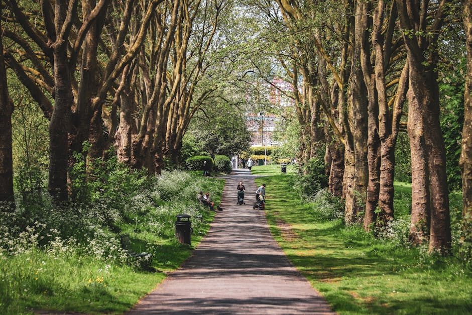 A well-maintained garden scene in daytime featuring a lush, green lawn bordered by neatly trimmed hedges and flower beds with colorful blooming plants. A paved pathway runs through the garden, leading