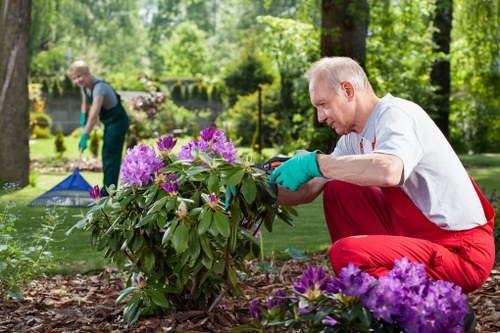 Eco-friendly lawn care practices in Abbey Wood
